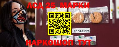 шишки Абакан