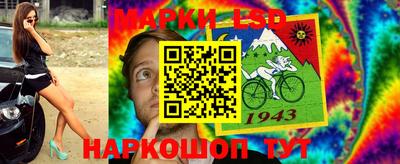 шишки Абакан