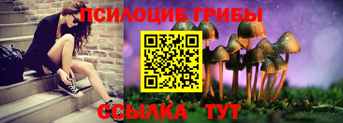 Алейск  Псилоцибиновые грибы мухоморы  Галлюциногенные грибы Psilocybine cubensis  Вход с VPN 