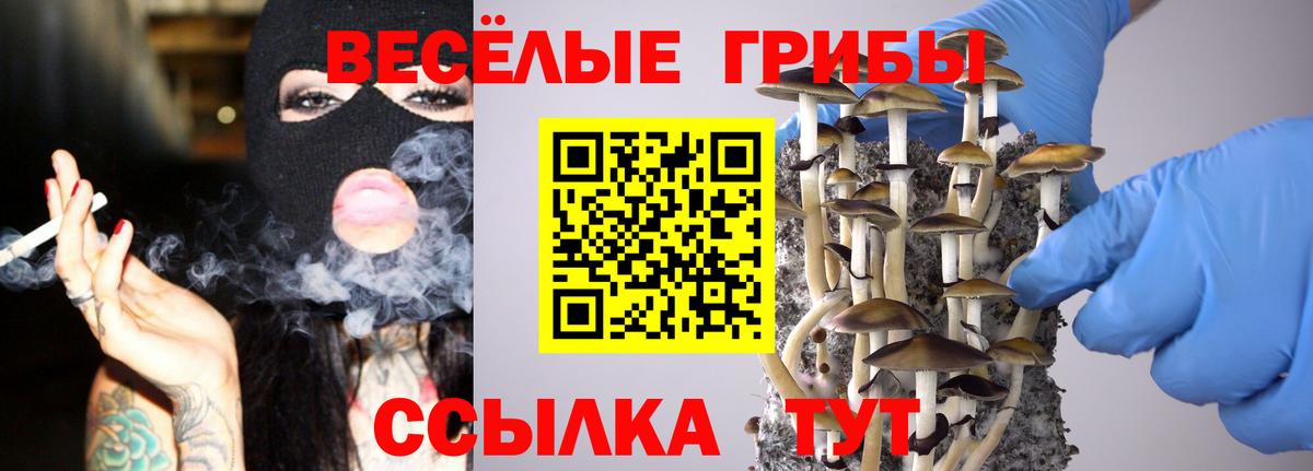 Галлюциногенные грибы Magic Shrooms Алейск